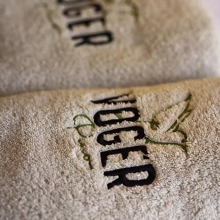 酒店 Voger Pino 阿拉恰特