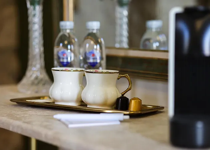 Voger Pino 酒店 阿拉恰特