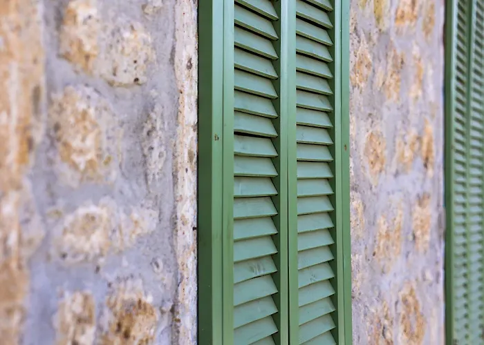 Voger Pino 阿拉恰特