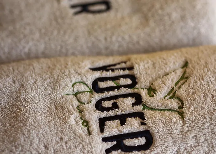 酒店 Voger Pino 阿拉恰特