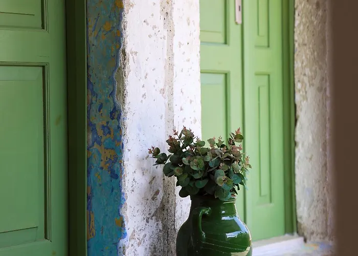 Voger Pino 阿拉恰特